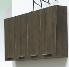 Hängeschrank Typ H4